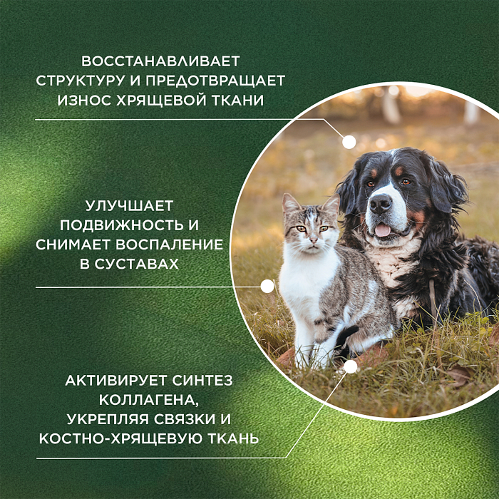 ProPhyto Артро Защита, 30 таблеток