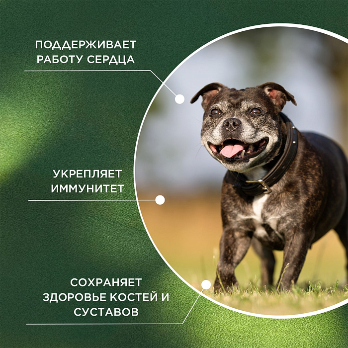 ProPhyto Сеньор Саппорт, 30 таблеток