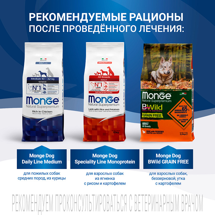 Диетический корм Monge VetSolution Dog Gastrointestinal Гастроинтестинал для собак при заболеваниях ЖКТ 2 кг