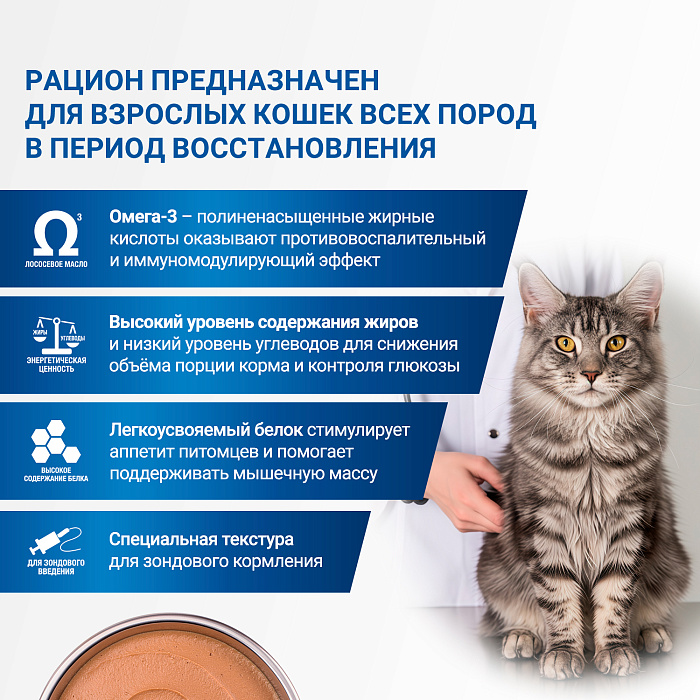 Диетический корм Monge VetSolution Cat Recovery Рекавери для кошек при восстановлении питания в период выздоровления 100 г
