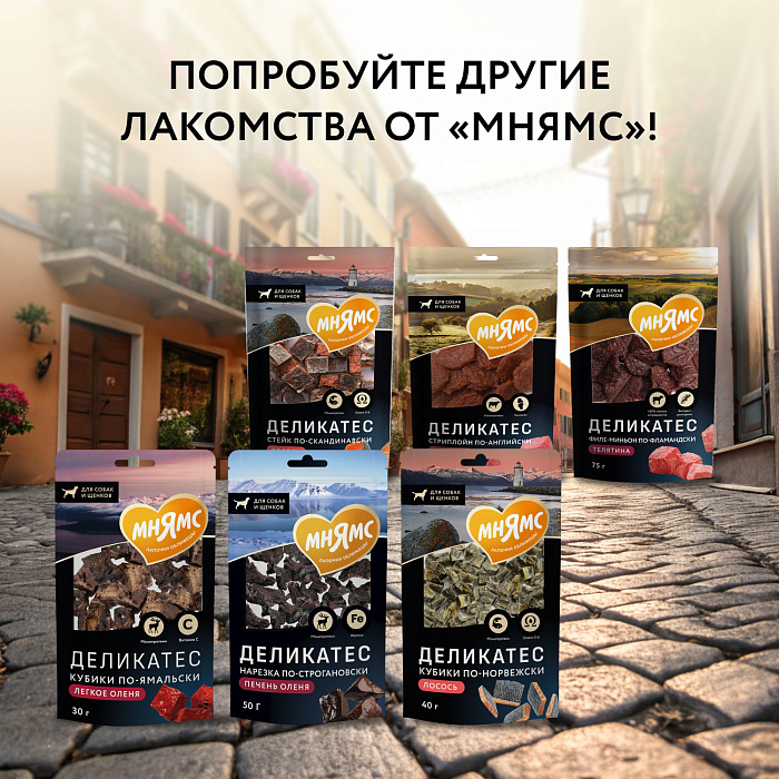 Лакомство Мнямс Деликатес Пармская косточка для собак размер XXL 120 г