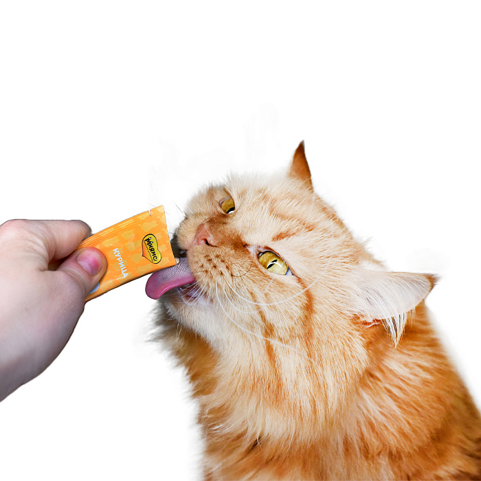 Крем-лакомство Мнямс для кошек с курицей 15 г