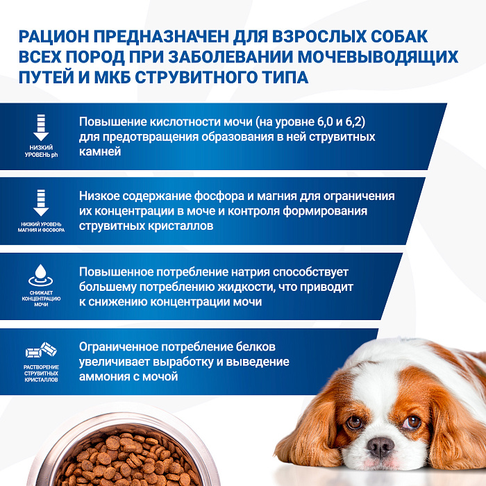 Диетический корм Monge VetSolution Dog Urinary Struvite Уринари Струвит для собак при заболеваниях мочеполовой системы и струвитном течении МКБ 2 кг