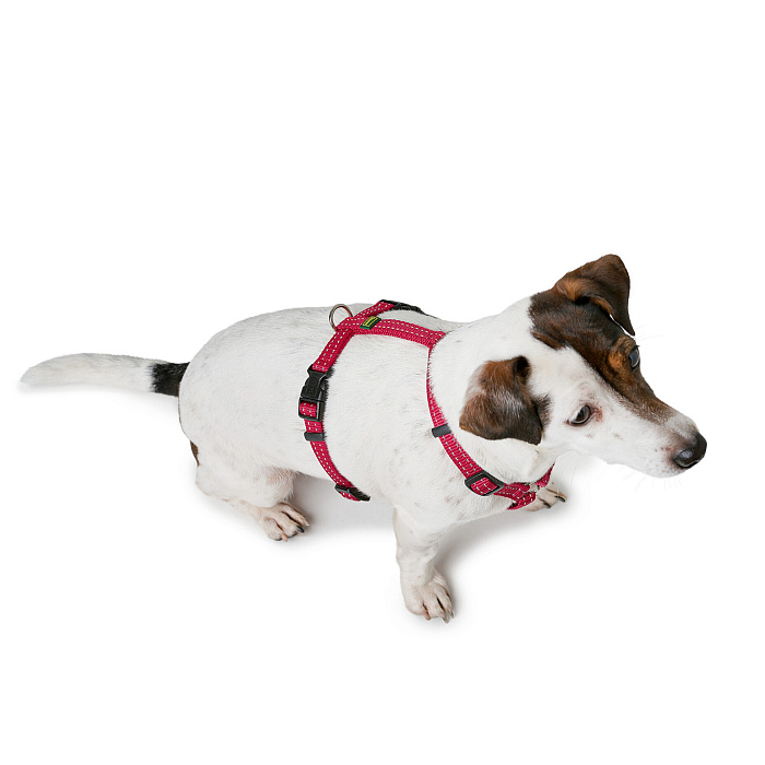 Hunter шлейка для собак Tripoli Mini XXS (18-30 см), нейлон малиновая, светоотражающая