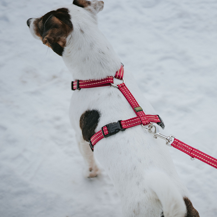 Hunter шлейка для собак Tripoli Mini XXS (18-30 см), нейлон малиновая, светоотражающая
