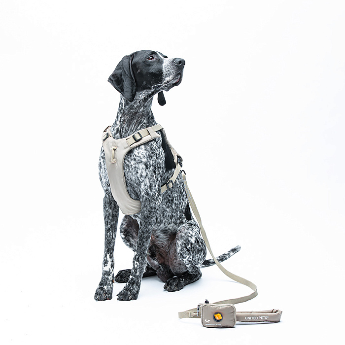 Шлейка United Pets для собак Citylife Y-образная S 15 x 45-60, бежевый