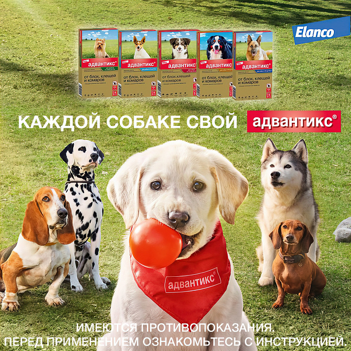 Bayer Адвантикс 250 С для собак 10-25 кг от блох, клещей и комаров (4 пипетки х 2,5 мл)