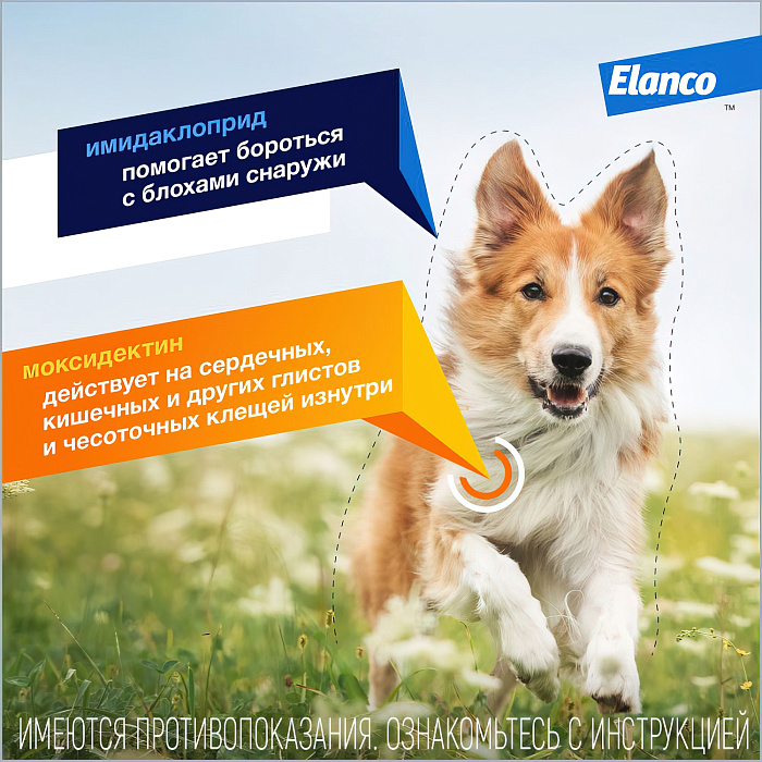 Bayer Адвокат 250 капли для собак 10-25 кг от чесоточных клещей, блох и гельминтов (3 пипетки х 2,5 мл)