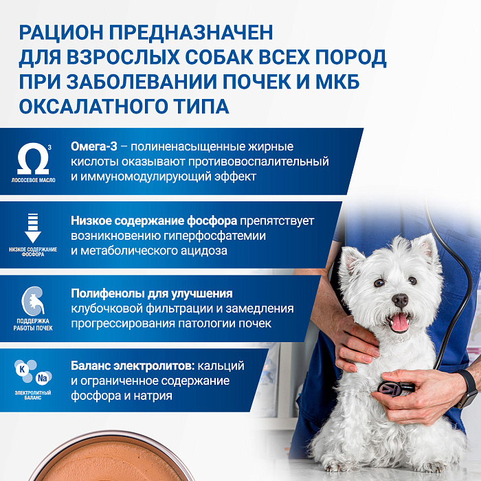 Диетический корм Monge VetSolution Dog Renal and Oxalate Ренал и Оксалат для собак при ХПН и профилактике образования уролитов оксалата кальция 150г