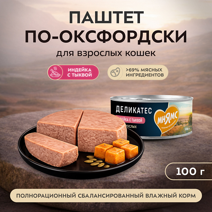 Влажный корм Мнямс Деликатес Индейка с тыквой для кошек "Паштет по-оксфордски" 100 г