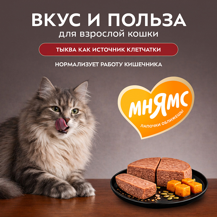 Влажный корм Мнямс Деликатес Индейка с тыквой для кошек "Паштет по-оксфордски" 100 г