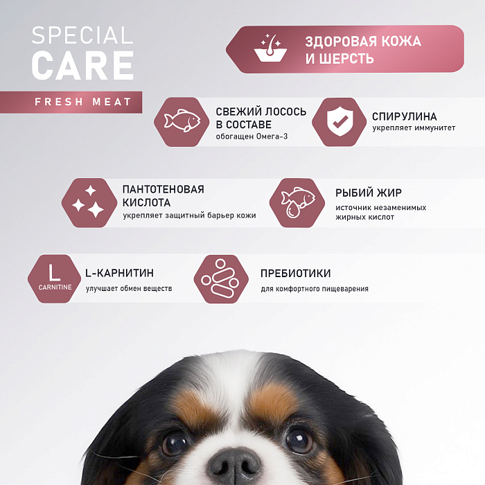 Сухой корм AWARD SPECIAL CARE Sensitive Skin&Coat для взрослых собак всех пород для здоровой кожи и шерсти со свежим лососем 12кг
