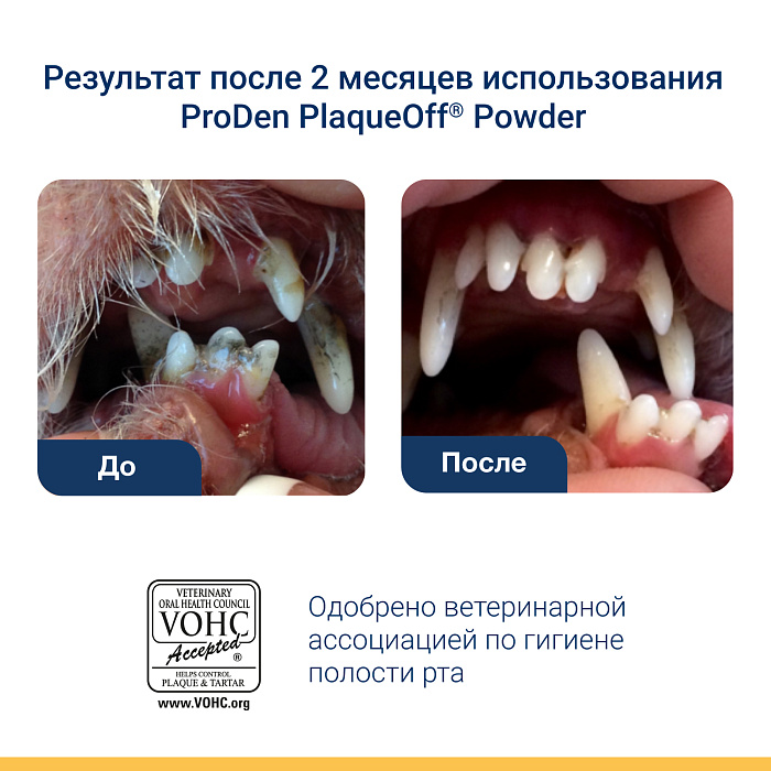 ProDen PlaqueOff средство для профилактики зубного камня у кошек 40 г