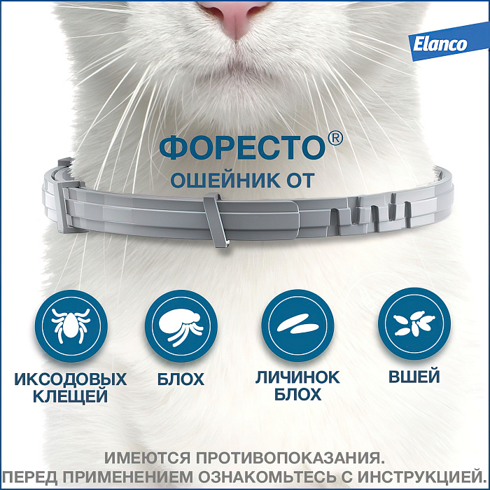 Bayer Форесто ошейник от клещей и блох для кошек 38 см