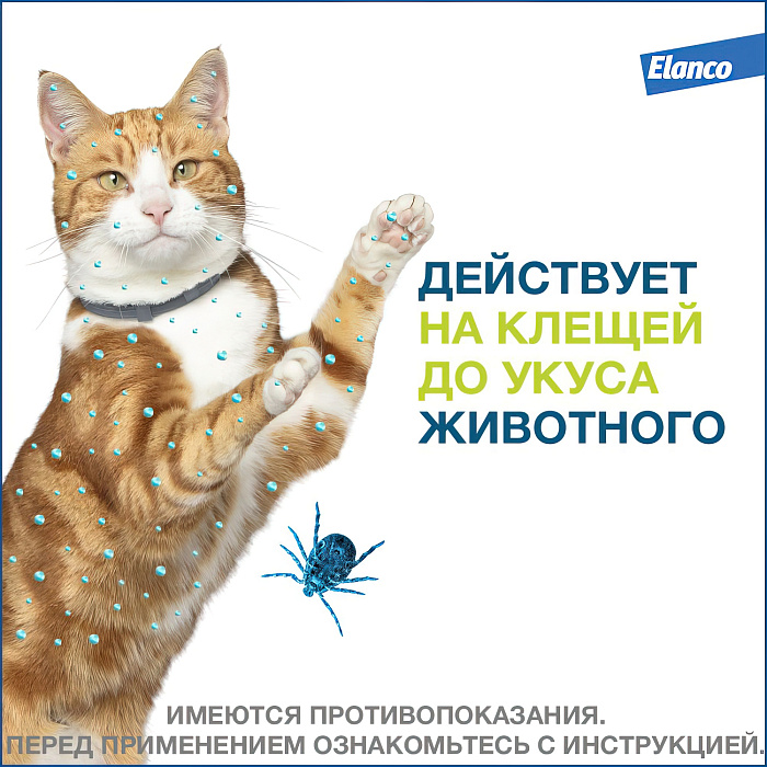 Bayer Форесто ошейник от клещей и блох для кошек 38 см