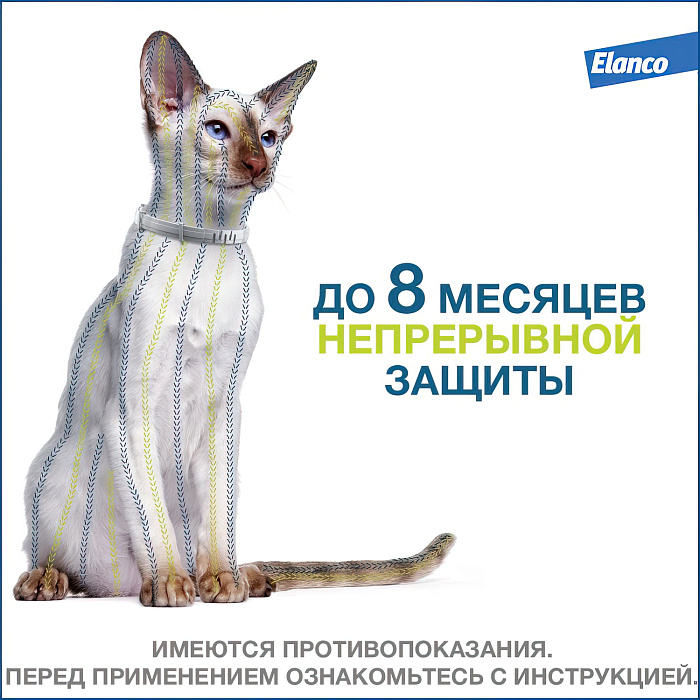 Bayer Форесто ошейник от клещей и блох для кошек 38 см
