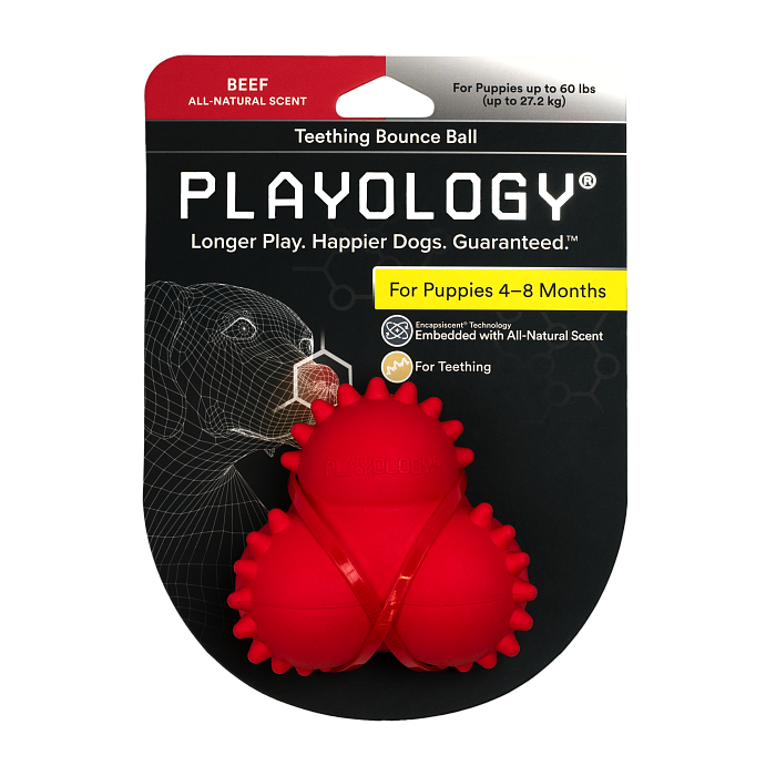 Playology дентальный жевательный тройной мяч SQUEAKY BOUNCE BALL для щенков 4-8 месяцев с ароматом говядины, цвет красный СКИДКА 50%