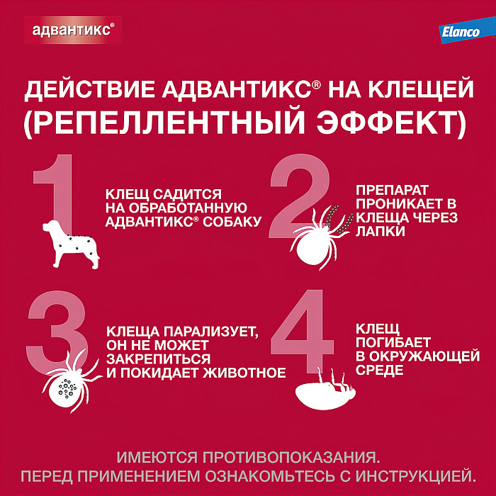 Bayer Адвантикс 100 С для собак 4-10 кг от блох, клещей и комаров (4 пипетки х 1 мл)