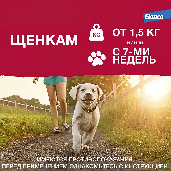Bayer Адвантикс 250 С для собак 10-25 кг от блох, клещей и комаров (4 пипетки х 2,5 мл)