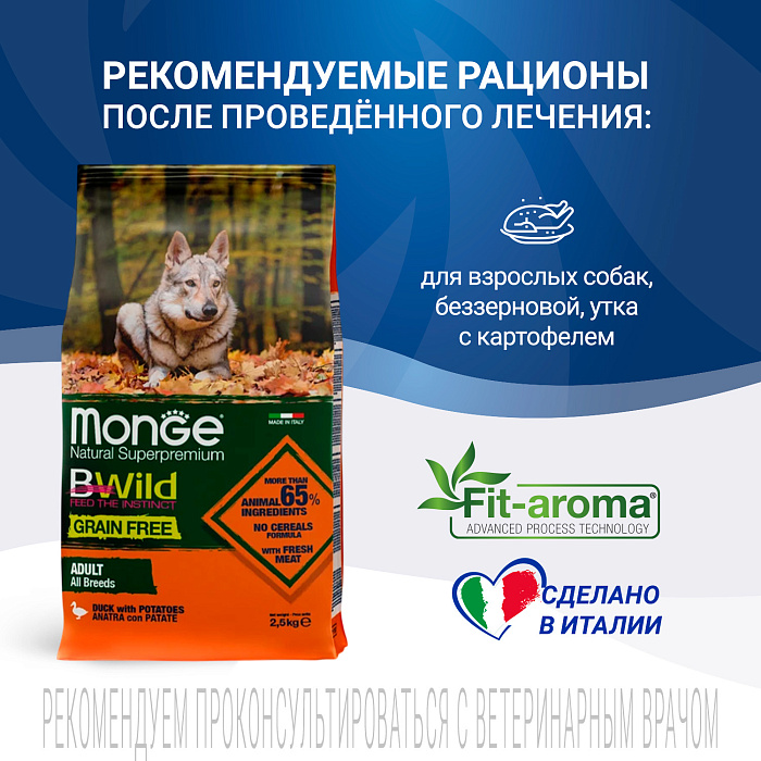 Диетический корм Monge VetSolution Dog Hepatic Гепатик для собак при заболеваниях печени 2 кг