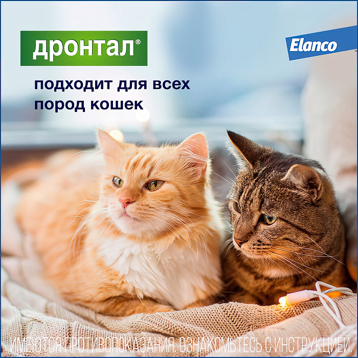Bayer Дронтал таблетки от гельминтов для кошек 2 таб.
