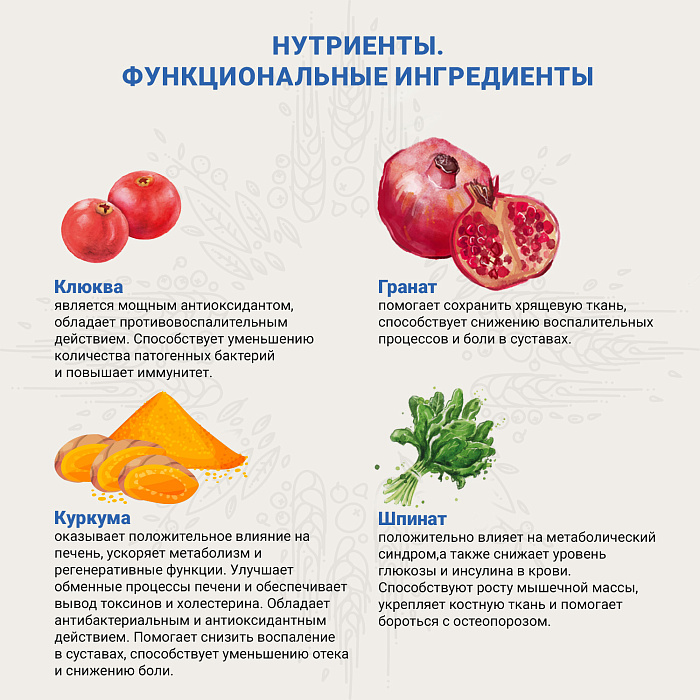 Ветеринарная диета CRAFTIA GALENA DOG JOINT & MOBILITY CARE Джоинт энд Мобилити для собак при заболевании суставов 2 кг