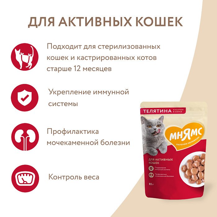Влажный корм Мнямс На каждый день Кусочки в соусе с телятиной для активных кошек 85 г