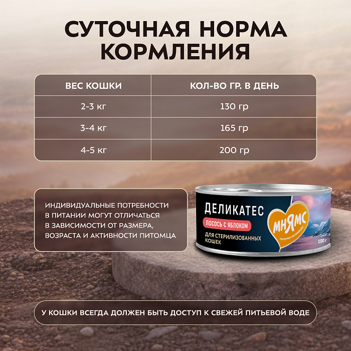 Влажный корм Мнямс Деликатес Лосось с яблоком для стерилизованных кошек "Паштет по-норвежски" 100 г