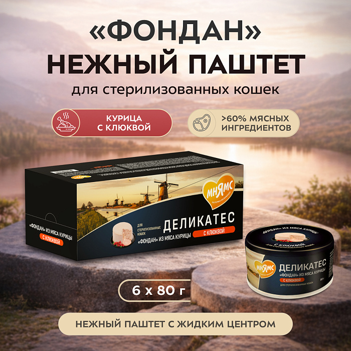 Влажный корм Мнямс Деликатес "Фондан" из мяса курицы с клюквой для стерилизованных кошек 80 г