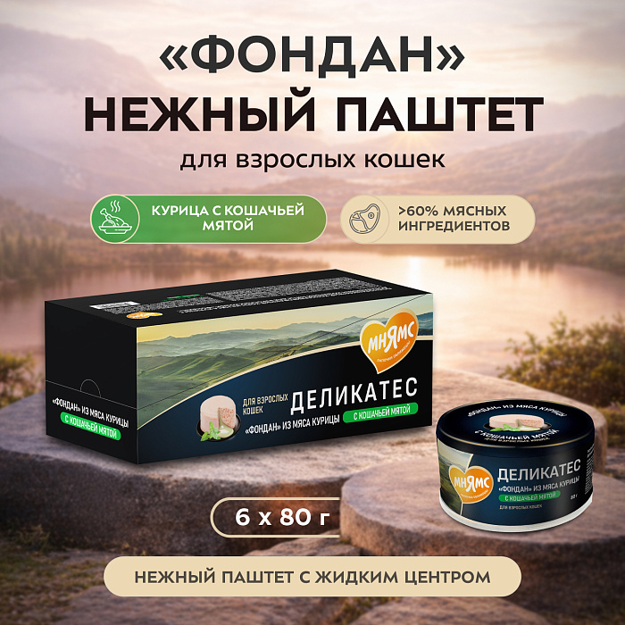Влажный корм Мнямс Деликатес "Фондан" из мяса курицы с кошачьей мятой для кошек 80 г