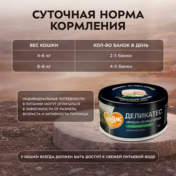 Влажный корм Мнямс Деликатес "Фондан" из мяса курицы с кошачьей мятой для кошек 80 г