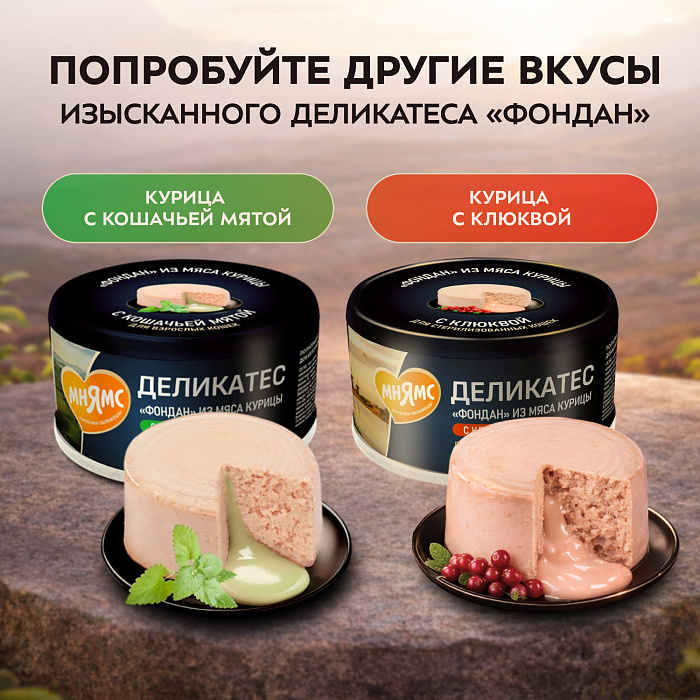 Влажный корм Мнямс Деликатес "Фондан" из мяса курицы с маслом криля для кошек 80 г