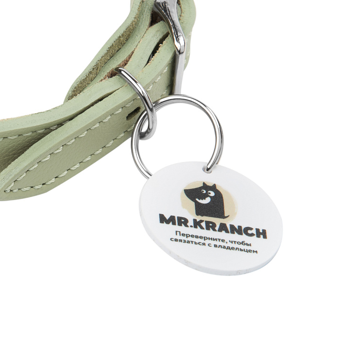 Ошейник Mr.Kranch для собак из натуральной кожи с QR-адресником 33-40см нежно-зеленый СКИДКА 50%