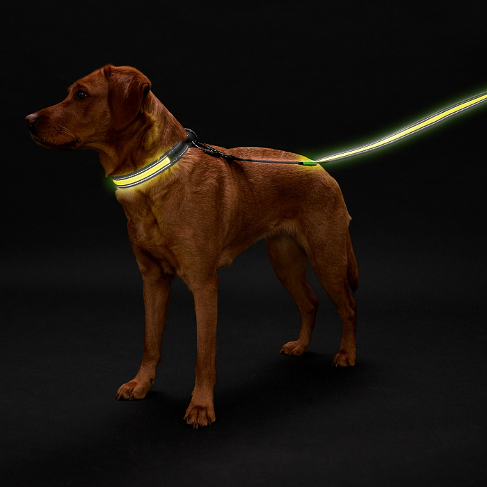 Hunter LED Поводок Manoa Glow 30/120 желтый СКИДКА 50%