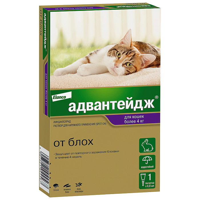 Bayer Адвантейдж 40 К для кошек до 4 кг от блох (1 пипетка х 0,4 мл) СКИДКА 15%