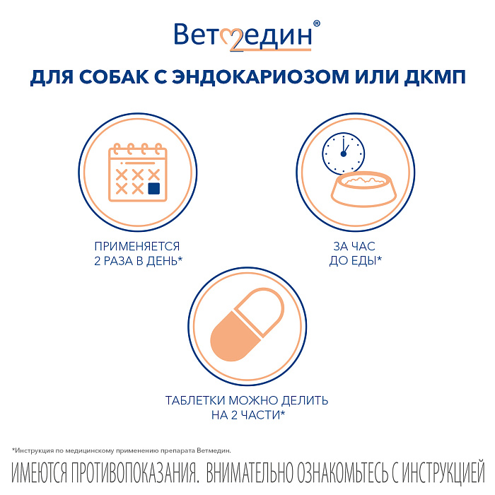 BI Ветмедин® S 1.25 мг – жевательные таблетки для лечения сердечной недостаточности у собак, 50 таб.