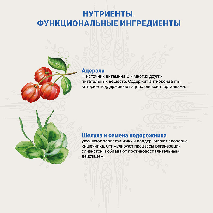 Ветеринарная диета CRAFTIA GALENA CAT RENAL CARE Ренал для кошек при почечной недостаточности 4,5 кг
