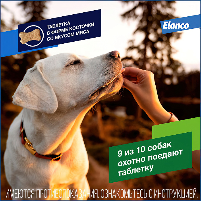 Bayer Дронтал плюс XL таблетки со вкусом мяса от гельминтов для собак крупных пород 2 таб. (1 таб. на 35 кг)