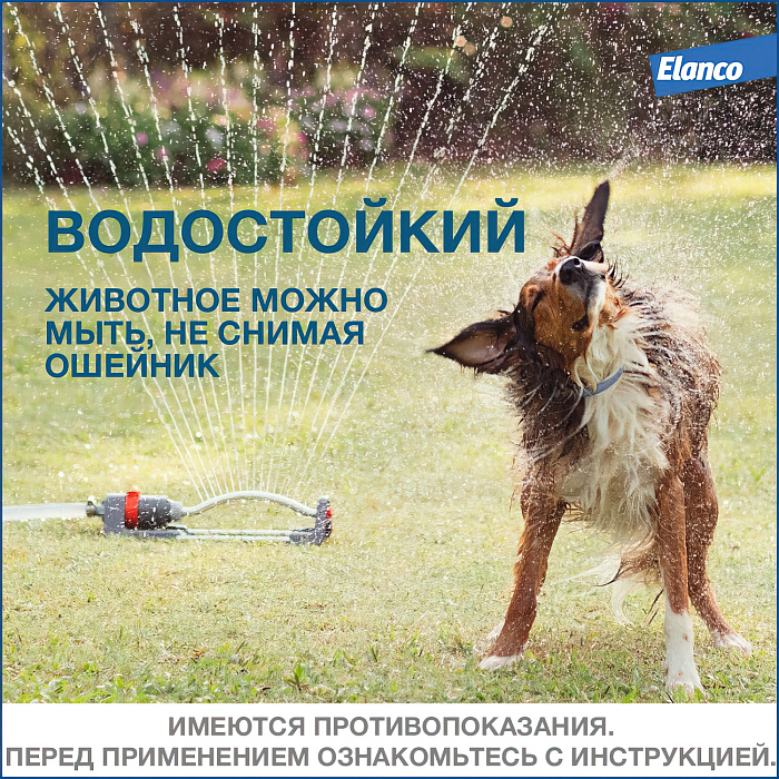 Bayer Форесто ошейник от клещей и блох для собак  менее 8 кг, 38 см