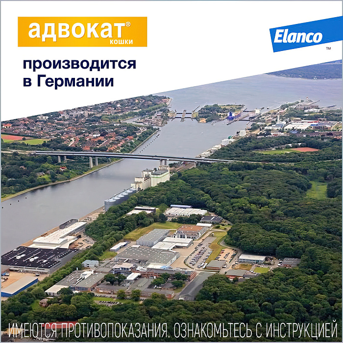 Bayer Адвокат капли для кошек  до 4 кг от чесоточных клещей, блох и гельминтов (3 пипетки х 0,4 мл)