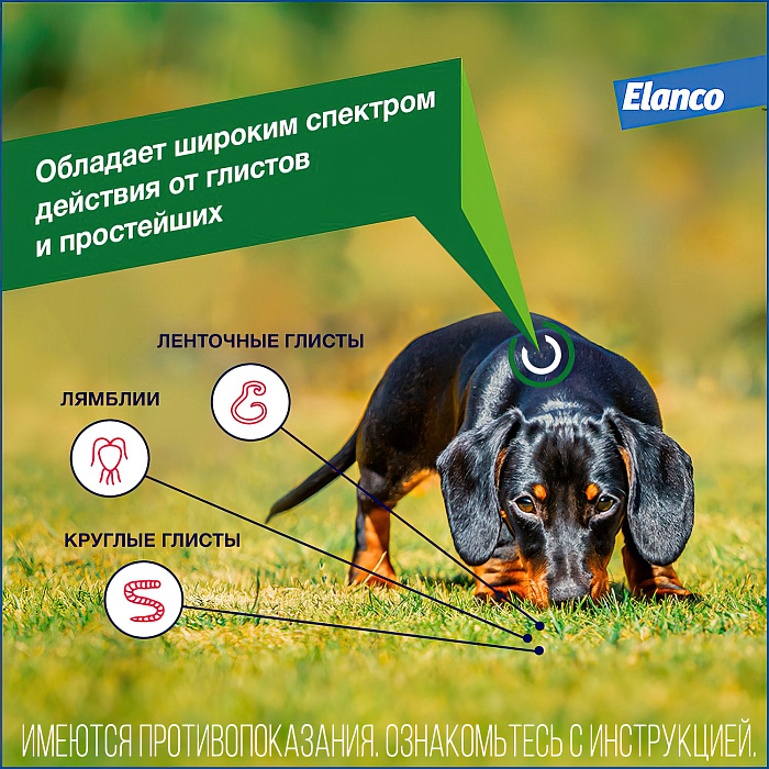 Bayer Дронтал плюс таблетки со вкусом мяса от гельминтов для собак 2 таб. (1 таб. на 10 кг)