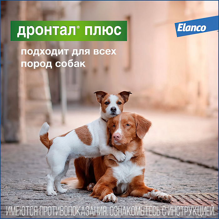 Bayer Дронтал плюс таблетки со вкусом мяса от гельминтов для собак 2 таб. (1 таб. на 10 кг)