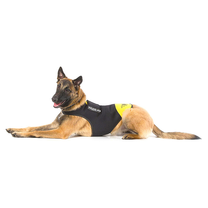 JULIUS-K9 жилет для собак Neoprene IDC® XL (70-90см / длина 57см), черно-желтый СКИДКА 50%