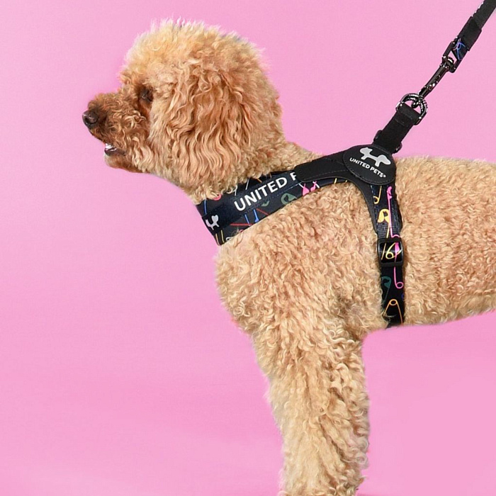 Шлейка United Pets для собак Complete me 1.5 - XS 34-42, черный с разноцветными булавками СКИДКА 30%