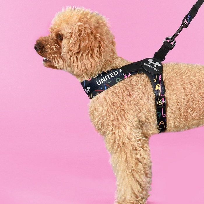 Шлейка United Pets для собак Complete me 2.5 - M 40-54, черный с разноцветными булавками СКИДКА 30%