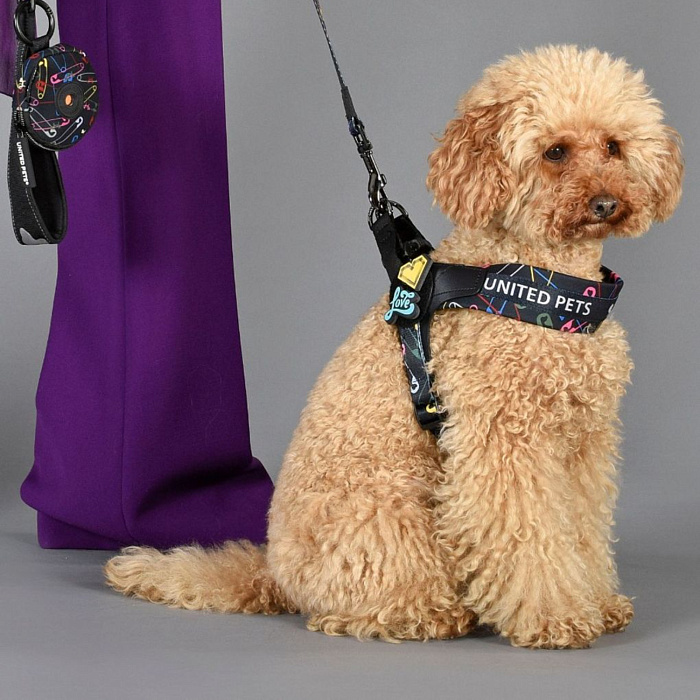 Шлейка United Pets для собак Complete me 2.5 - M 40-54, черный с разноцветными булавками СКИДКА 30%
