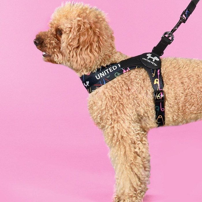 Шлейка United Pets для собак Complete me 3.5 - XL 48-64, черный с разноцветными булавками СКИДКА 30%