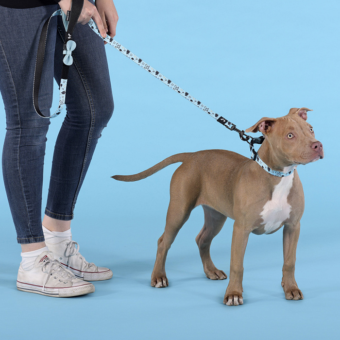 Поводок United Pets для собак Complete me Writing 140 см, 20 мм, голубой с рисунком СКИДКА 40%