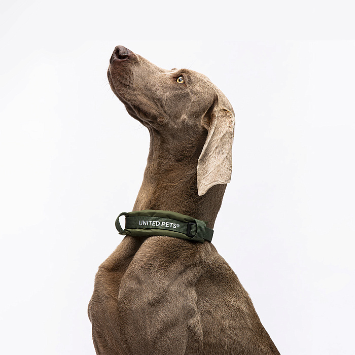 Ошейник United Pets с мягкой подкладкой для собак Citylife M 20 x 35-50 см хаки