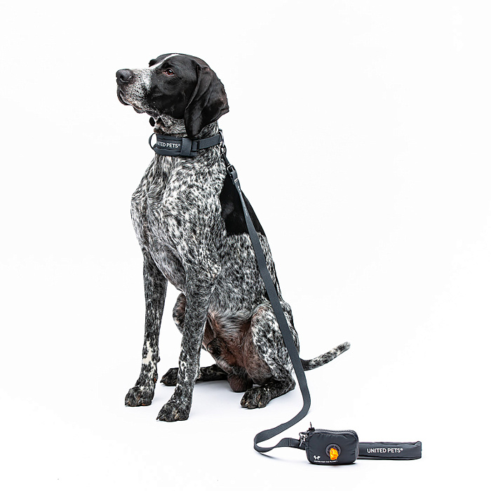 Ошейник United Pets с мягкой подкладкой для собак Citylife M 20 x 35-50 см черный